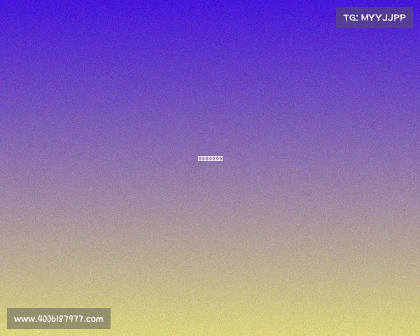 冠军赞助的球队